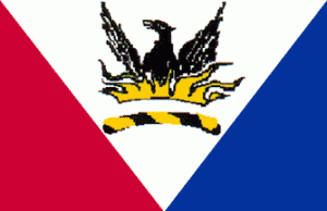 NAVA flag 21 - ICV 12