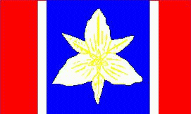 NAVA flag 24