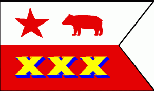 NAVA flag 30